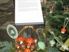 Bemutatkozó szövegünk