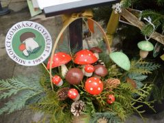 Figyelemfelkeltő...