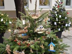 A madarászok fája a legötletesebb