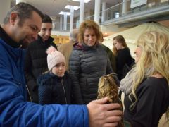 Baglyot még ennyit nem simogattak!