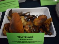 Finom is, gyógyít is...