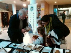 A toplász termékeknek mindig sikere van