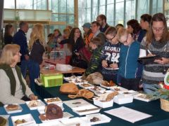 Esteledik - eljött a fajlista írás ideje