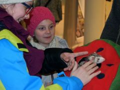 Az állatsimogató sztárjainál