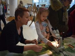 Madártoll a nagyító alatt - micsoda ötlet!