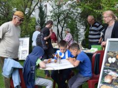 Feladatmegoldás, a teljesség igényével!