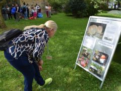 Az Év Gombája és más védett fajok