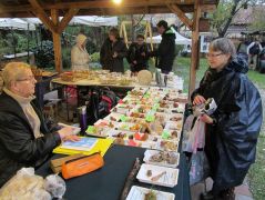 Zsófi kincseket hozott!