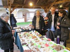 Alkalom a barátkozásra