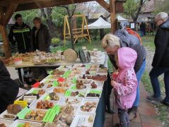 A gyerekeknek jó program ez esőben is