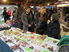 Kiállítók egymás között