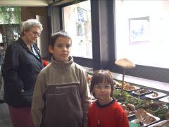 Látogatók minden korosztályból