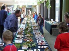 Az ott a túloldalon nagyon ismerős...