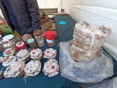 Tartósított és termesztett gombák