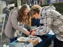 A bőség zavara - melyiket válasszam?