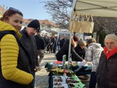 A gyógygombák után is nagy volt az érdeklődés