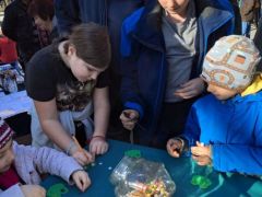 Szülői kívánságra!