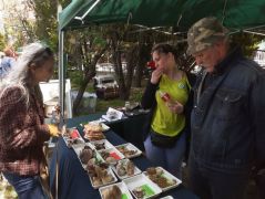 Szállingóznak az érdeklődők