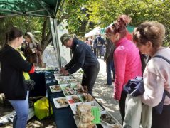 13 óra múlt, megpezsdül az élet a téren