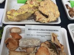 A szokásos tavaszi gombák