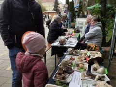 Fél négy felé - kicsit fáradunk