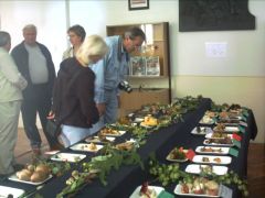 Még Svédországból is volt érdeklődő - persze magyar