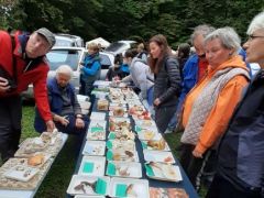 Több látgató is hozott gombát kiállítani