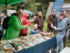 Megbeszélik - így lehet tanulni