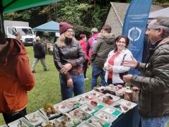 István keményen beleállt a munkába