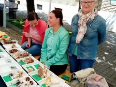 Szép idő, jókedv, mi bajunk lehet?