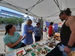 Kevés gombánk van, de azért felírjuk...