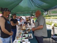 Jól elvagyunk a sarokban...