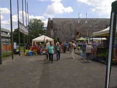 János, Zsófi, Gabika - jön a felmentő sereg!