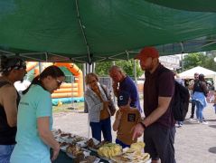 A sárga gévagomba azért ismerős!