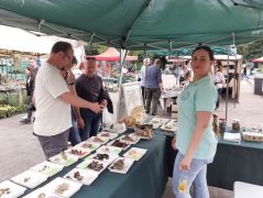 Látogatót fogtunk!