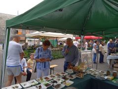 Húsz perc arról a kevésről, amink van