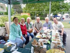 A ma délutáni ügyelő csapat