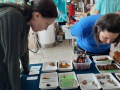 A csillaggombák olyan jópofák!