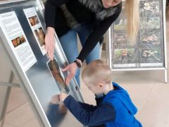 Készül az év gombája tábla