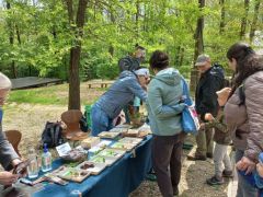 Gombák, foglalkoztatás - a szokásos