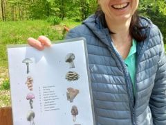 Emeséék új tesztlapot készítettek mára