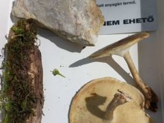 Fúj a szél - nehezéknek felszedtük a kövezetet