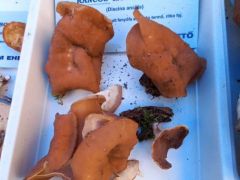 Ez már sokkal ritkább