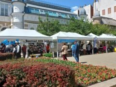 Civilek sora - a szemköztiek