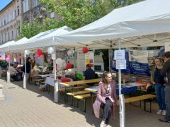 A mi oldalunk társkiállítói