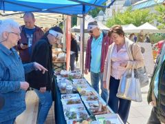 Némi tumultus - egy fő látogatóval...