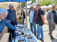 Évike elemében lehet