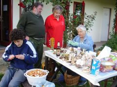 Baskának van már mit feldolgozni