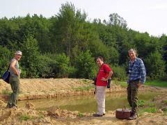 A meglepetés tónál