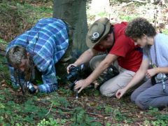 Micsoda buzgalom, azért a pici gombáért...